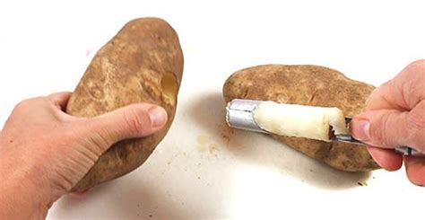 Shrink a Potato with Osmosis! .